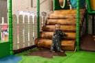 The Play Barn @ Round Meadows Farm soft play venue